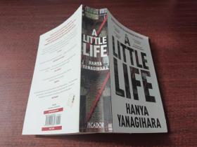 《A Little Life》（《渺小一生》 書(shū)如圖