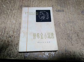 普希金小说选