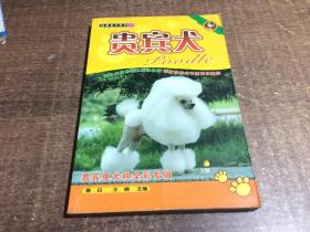 经典名犬系列2 贵宾犬 架 895