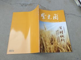 紫光阁百村调研增刊