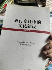 农村变迁中的文化建设