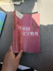 当代中国文学概观