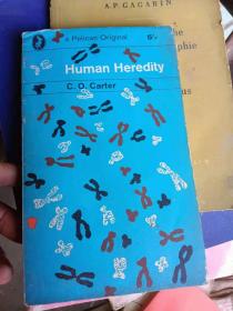 KUMAN HEREDITY