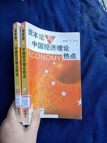 资本论与中国经济理论热点