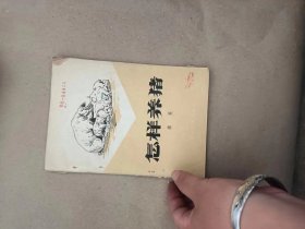 怎样养猪