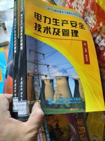 电力生产安全技术及管理——电气设备安装运行维修实用技术丛书