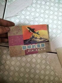 聪明的海豚