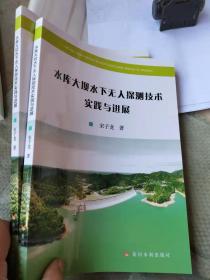 水库大坝水下无人探测技术实践与进展