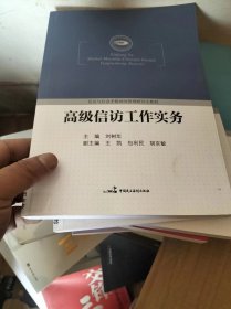 高级信访工作实务