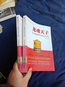 龙魂天子：千古流传的大清帝王故事