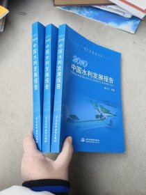 2010中国水利发展报告
