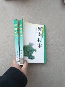 河南杉木