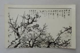 黄华、何理良夫妇藏  广东画院摄影家丘康摄影（关山月作品照片三张）     货号：第39书架—C层