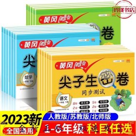 2021春版黄冈100分尖子生密卷六年级下册数学人教部编版单元测试卷期中期末冲刺100分专项卷子