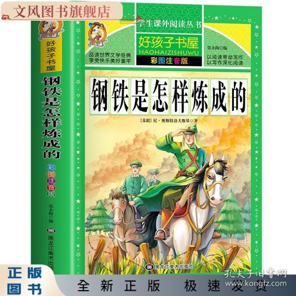 钢铁是怎样炼成的/新课标学生课外必读丛书