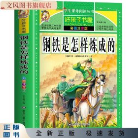 钢铁是怎样炼成的/新课标学生课外必读丛书