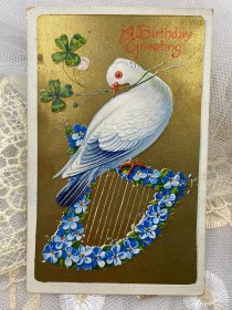 125.美国1910年鸽子花卉图浮雕手写明信片