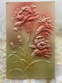 1.美国1907年康乃馨花卉浮雕手写实寄明信片