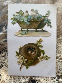 24.法国1910年鸽子勿忘我花篮小鸟浮雕凸版未使用明信片