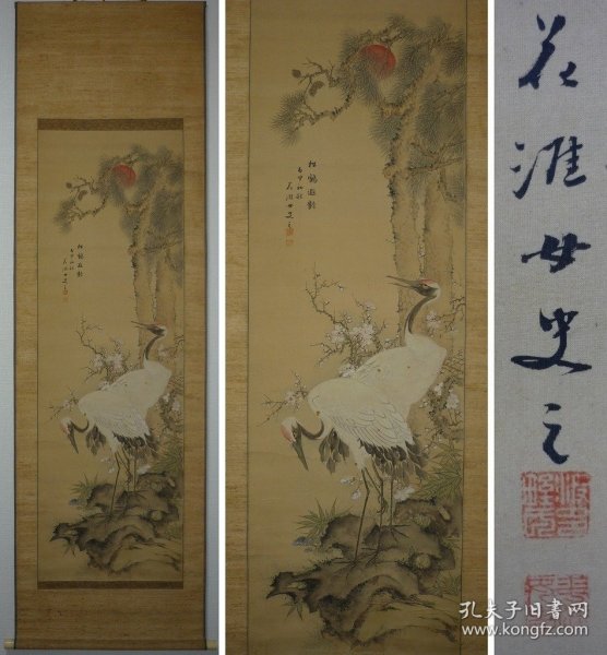 龙和亭门生，女画家精品 松鹤遐龄，波多野華涯（1863－1944）大阪の人。名はモト。東京跡見女学校在学中に跡見花渓に学び、のち滝和亭に南画を学ぶ。岡山市に住してより有香社を主宰し、南宋文人画を普及した。