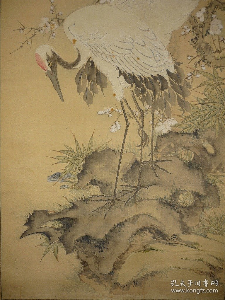 龙和亭门生，女画家精品 松鹤遐龄，波多野華涯（1863－1944）大阪の人。名はモト。東京跡見女学校在学中に跡見花渓に学び、のち滝和亭に南画を学ぶ。岡山市に住してより有香社を主宰し、南宋文人画を普及した。