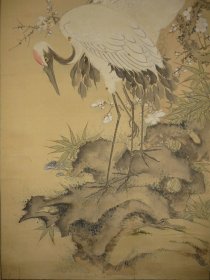 龙和亭门生，女画家精品 松鹤遐龄，波多野華涯（1863－1944）大阪の人。名はモト。東京跡見女学校在学中に跡見花渓に学び、のち滝和亭に南画を学ぶ。岡山市に住してより有香社を主宰し、南宋文人画を普及した。