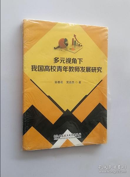 多元视角下我国高校青年教师发展研究