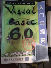 Visual Basic 6.0中文版入门与提高