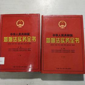 中华人民共和国婚姻法实务全书（上中）