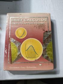 BRIEF CALCULUS AND ITS APPLICATIONS Fifth Edition