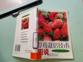 草莓栽培技术 图说