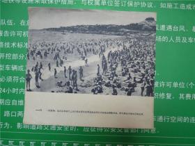 五十年代全国体育运动画册散页   第116页   青岛海滨浴场