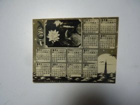 老照片    年历片    1964