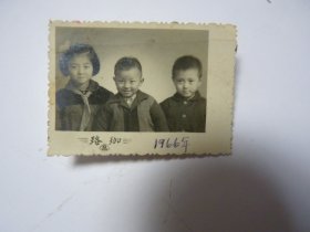 老照片     儿童姐弟三人合影  1966年