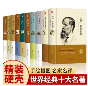 世界十大名著（套装共10册 精装版）【经典文学小说】大卫·科波菲尔+钢铁是怎样炼成的+悲惨世界+安娜·卡列尼娜+傲慢与偏见+巴黎圣母院+童年+呼啸山庄+红与黑+飘【初中以上及成人】