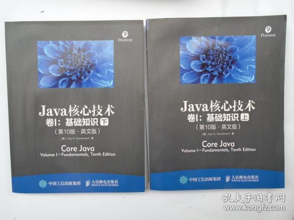 Java核心技术 卷I 基础知识 第10版 英文版 上下册