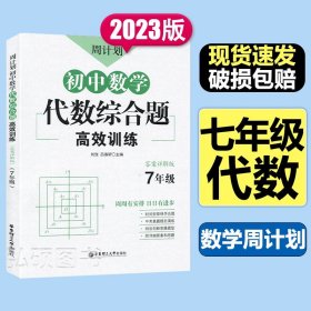 周计划：初中数学代数综合题高效训练（7年级）