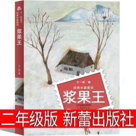 正版全新浆果王 穿内裤的狼:广告风波 南京大学出版社 二年级上册必读课外书经典非注音版 威尔弗里德·鲁帕诺著 玛亚娜