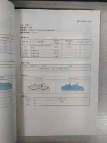 GB/T 20258.2-2019 基础地理信息要素数据字典 第2部分 1∶5 000 1∶10 000 比例尺