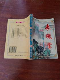 陈青云武侠小说专辑7 丧魂掌 下