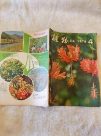 植物杂志1979.4