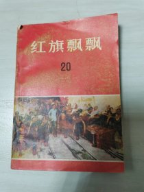 红旗飘飘 20