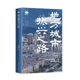 新书--世界新农丛书：地方城市振兴之路