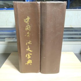 中国书法大字典（共两册）