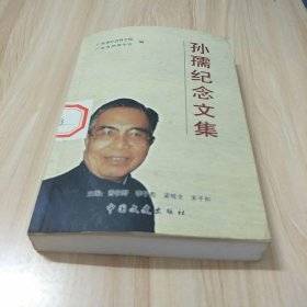 孙儒纪念文集