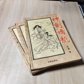 神剑娇龙（上中下）