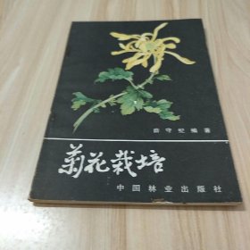 菊花栽培