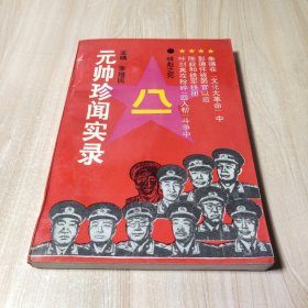 元帅珍闻实录