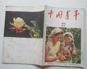 中国青年1959年（22）（半月刊）