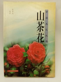 山茶花